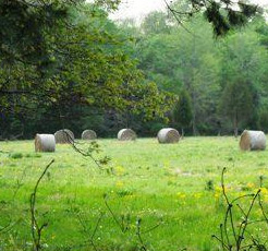 Angelina County Land